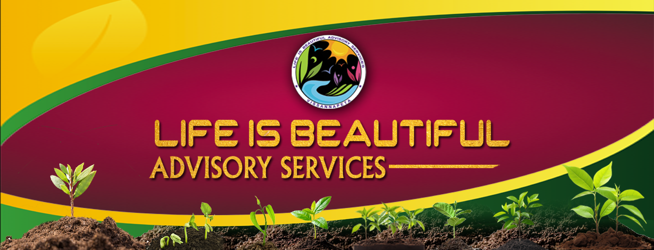 LBF Home Page Image